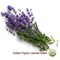 Organic Dried Lavender Bunch 25 g (0.88 oz), Freshly Grown in The Mountains of Sicily, Culinary Lavender, Italian Dried Lavender Branches, Herb, Spices, Certified USDA Organic